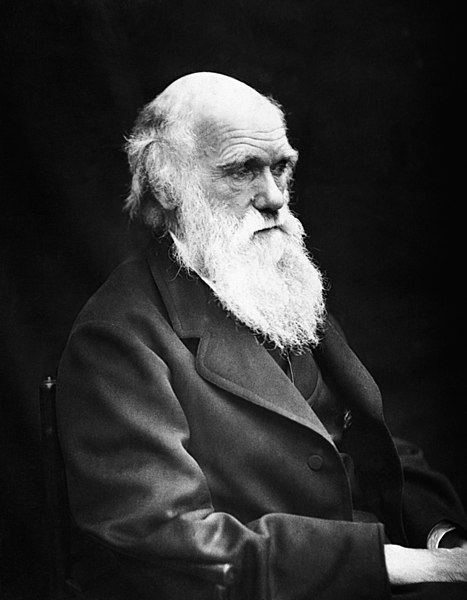 Les évolutionnistes à la recherche du chainon manquant